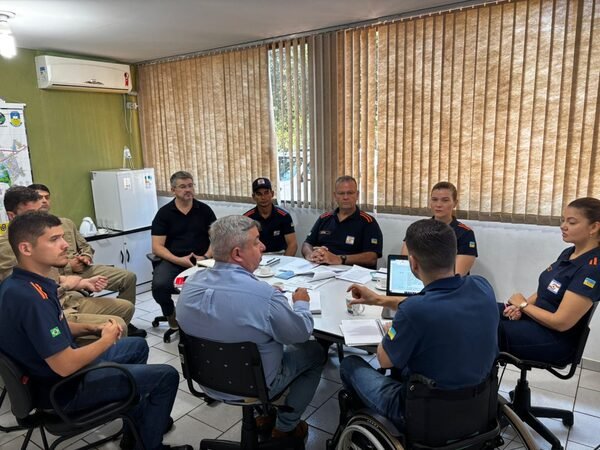 Imam, Defesa Civil, Semsur e Bombeiros debatem remoção de árvores com risco de queda