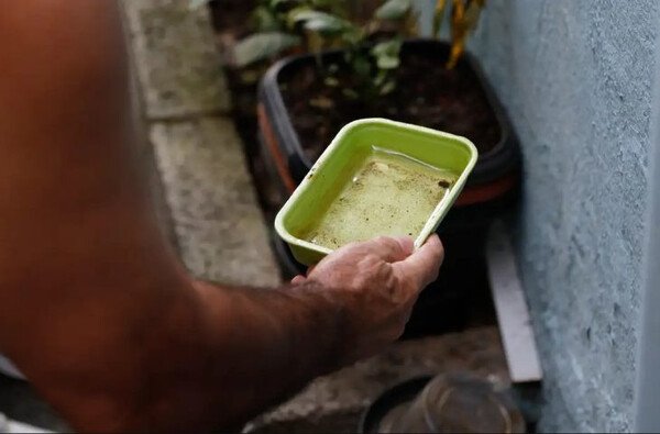 Saúde regsitra novas casos de dengue e total chega a 673 em Mato Grosso do Sul