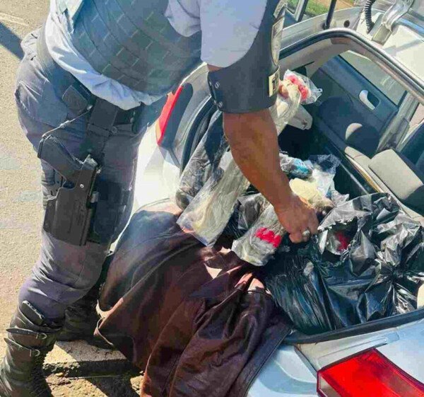 Morador de Dourados é flagrado em rodovia paulista com 160 quilos de cabelo humano
