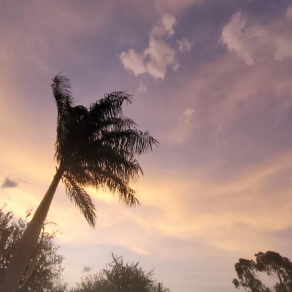 Semana começa com predominância de sol entre nuvens em Dourados