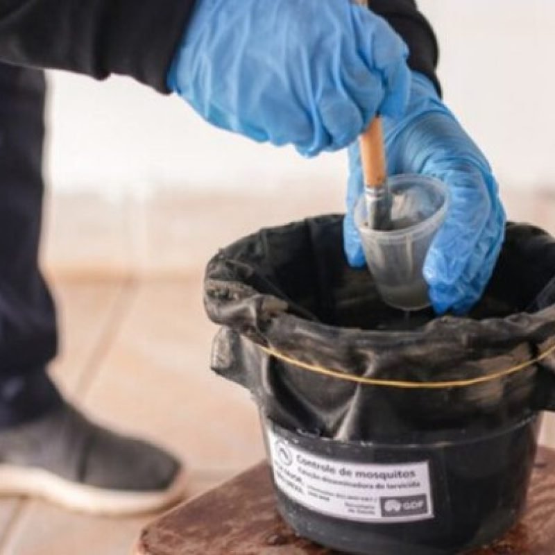 MS inicia projeto-piloto com biolarvicidas para reforçar combate à dengue