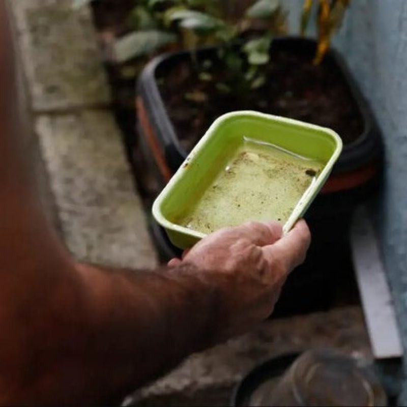 Saúde regsitra novas casos de dengue e total chega a 673 em Mato Grosso do Sul